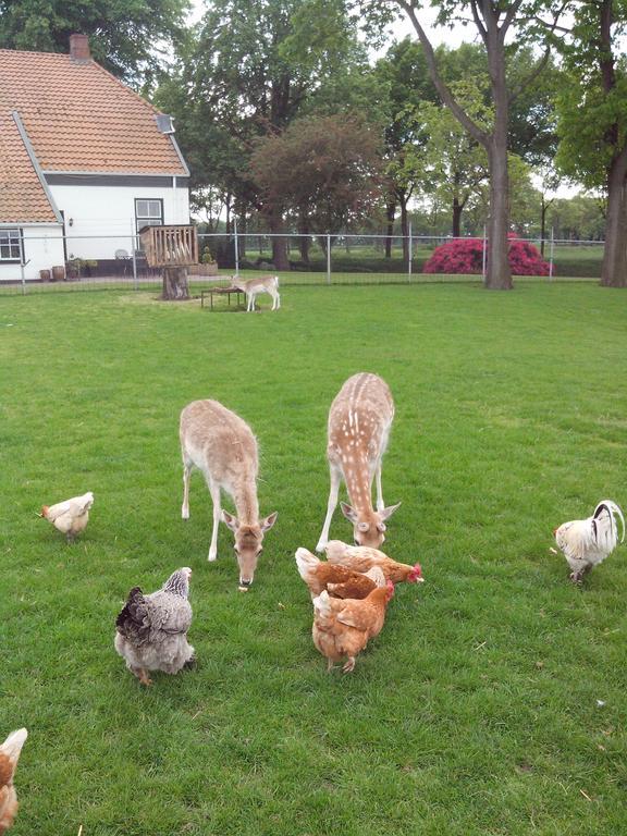 SellingenBed En Breakfast Westerwolde公寓 外观 照片