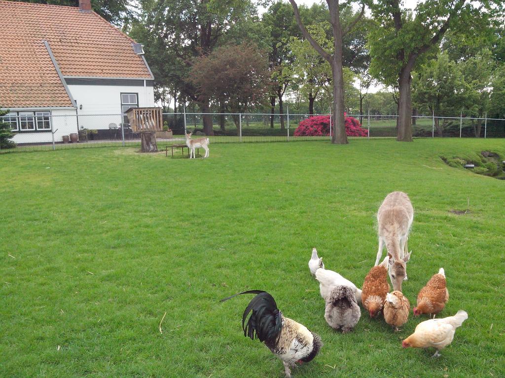 SellingenBed En Breakfast Westerwolde公寓 外观 照片